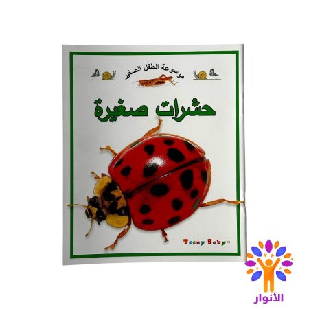 حشرات صغيرة