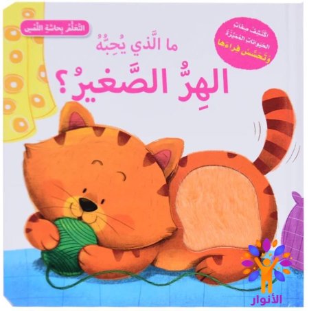 الهر الصغير