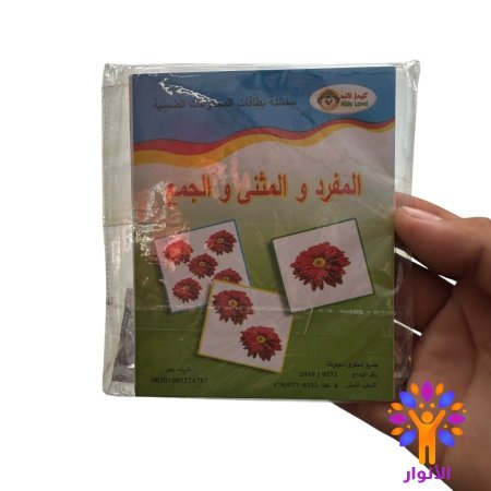 المفرد والمثنى والجمع