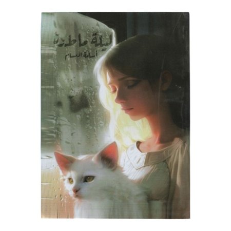 ليلة ماطرة