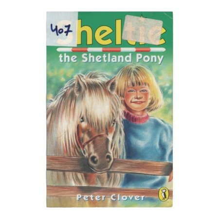 sheltie  the Shetland Pony