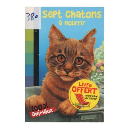 Sept Chatons a nourrir