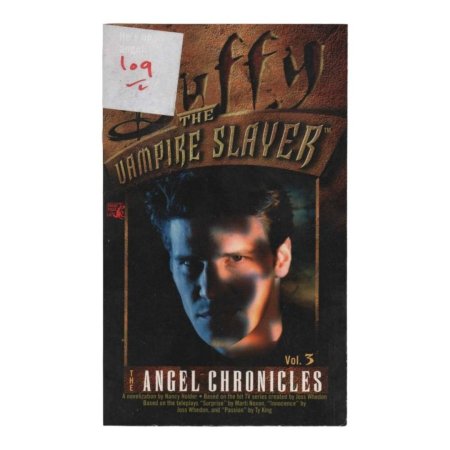 THE VAMPIRE SLAYER ANGEL CHRONICLES Vol. 3